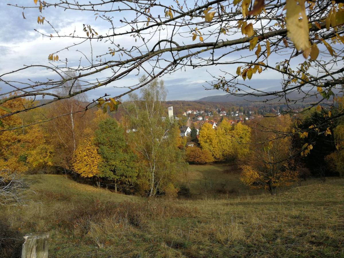 Ravensbergblick - Harzlich Willkommen In Bad Sachsa Appartement Buitenkant foto